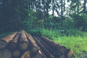 benefici arredi in legno