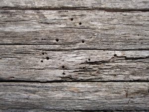 come proteggere il legno dai tarli